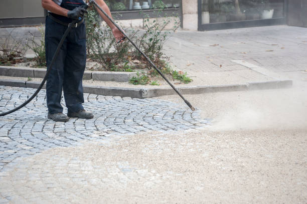 Best Animal Enclosure Cleaning  in North Lindenhurst, NY